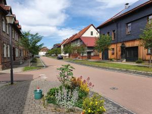an empty street in a town with houses and flowers at Ferienwohnung Fessel in Hasselfelde