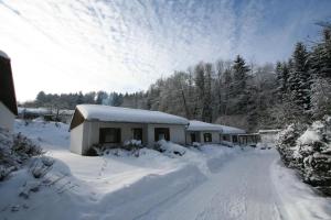 a house covered in snow in a yard at Ferienpark im schönen Falkenstein 1 in Falkenstein
