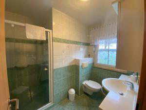 a bathroom with a toilet and a sink and a shower at Ferienwohnung Bunte Wiese in Parchtitz +11 photos