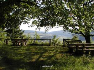 two benches sitting in the grass under a tree at Ferienwohnung Hamel in Kirchlotheim
