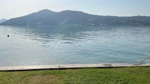 a large body of water with mountains in the background at Wild und Wald Ferienwohnung in Steinbach am Attersee