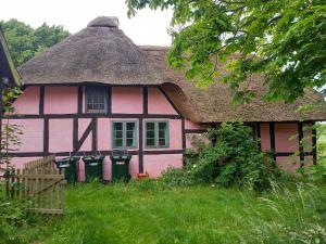 a pink house with a thatched roof at Hasselsro in Tranekær