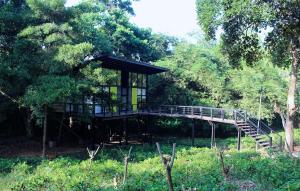 a tree house in a forest with a bridge at The Country House Chalets in Galle
