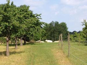 a fence with two cows in a field with trees at Ferien am Roten Haus in Buckow