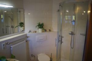 a bathroom with a glass shower and a toilet at Ferienwohnung Friedrichswalde in Bahretal