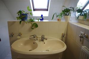 a bathroom sink with potted plants on a shelf at Ferienwohnung Friedrichswalde in Bahretal