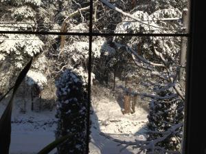 Noclegi Pod Borkiem v zime