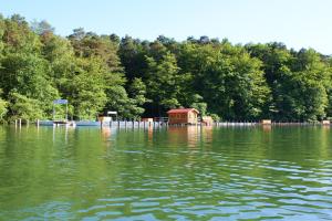 a house in the middle of a large body of water at Ferienhaus Stechlinsee 1 in Stechlin +4 photos