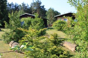 a garden with trees and bushes in front of a house at Ferienhaus Stechlinsee 1 in Stechlin