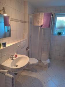 a bathroom with a sink and a shower and a toilet at Ferienwohnung Groß in Bermatingen +8 photos