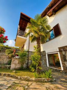 a palm tree in front of a house at Nido vista Lago Maggiore e isole borromee in Cissano