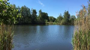 a view of a lake with trees and grass at Ferienwohnung Verena Wunderlich in Schlepzig