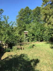 a grassy field with a bird feeder in the distance at Ferienwohnung Verena Wunderlich in Schlepzig