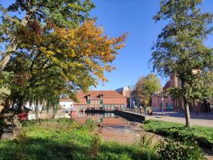 a bridge over a river with trees and buildings at Ferienhaus am Mühlenteich in Teterow +26 photos