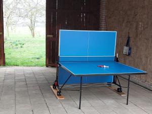 a ping pong table with a blue top on it at Ferienhaus zur Eiche am Dorfanger in Waldow