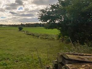 a green field with a tree and a fence at Landhaus Kreitlow in Ribnitz-Damgarten