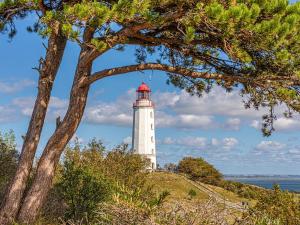 a lighthouse on a hill with a tree at Landhaus Kreitlow in Ribnitz-Damgarten +21 photos