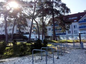a group of golf racks in the sand in front of buildings at Blaumuschel Haus A Wohnung 2 - DH in Lubmin