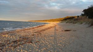 a sandy beach with trees and the ocean at Blaumuschel Haus A Wohnung 2 - DH in Lubmin