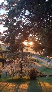 a tree with the sun setting in a field at Ferienhaus bei der Müritz-Elde Wasserstraße in Malchow