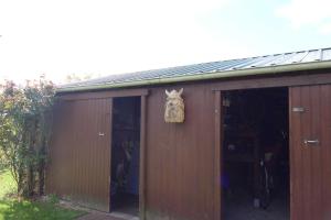 a garage with a cat on the side of it at Ferienwohnung "Baum" in Rechlin +26 photos