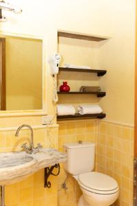 a bathroom with a toilet and a sink and a mirror at L'Arcadia in Pietrasanta +78 photos