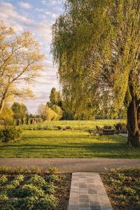 a park with a picnic table and a tree at B&B Heinehoeve in Kaprijke
