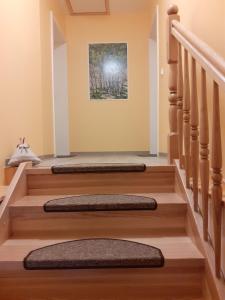 a set of stairs in a home with mats on them at Ferienwohnungen Kusche in Stennewitz
