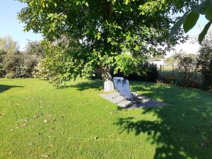 a chair sitting in the grass under a tree at Ferienwohnungen Kusche in Stennewitz