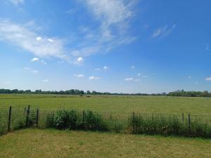 a field with a fence and animals in the distance at Ferienhaus Weitblick in Sehestedt