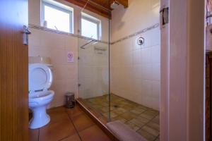 a bathroom with a toilet and a glass shower at De Ark Mountain Lodge in Clarens