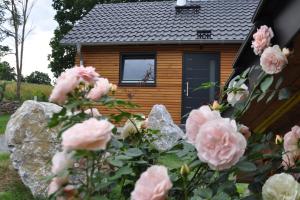 Gallery image of Kellerwald Chalet in Schmittlotheim