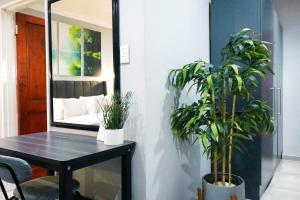 a table with two potted plants and a mirror at African Sands Guesthouse in Bloemfontein