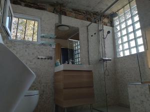 a bathroom with a shower with a sink and a mirror at Olive Gardens Cottage above Portorož in Strunjan