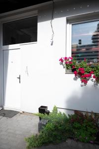 a white building with flowers in a window at Lux Atina Bač in Bač