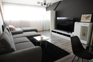 a living room with a couch and a flat screen tv at Lux Atina Bač in Bač