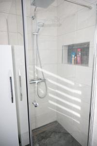 a shower with a glass door in a bathroom at Lux Atina Bač in Bač +14 photos