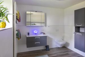 a bathroom with a sink and a toilet at Spatzenhuus in Rubkow