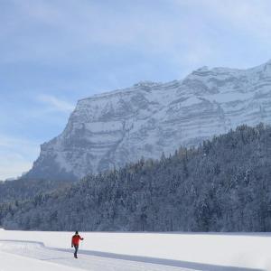 a person walking in the snow with a mountain in the background at Apartment Marialis in Bizau +9 photos
