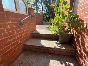 a set of stairs with plants on the side of a brick building at Wolff, Jürgen in Graal-Müritz