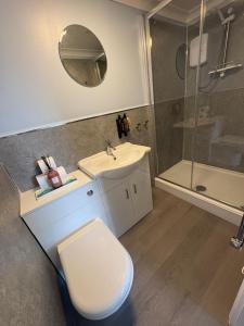 a bathroom with a toilet and a sink and a shower at Nook and Scranny in Tarbert