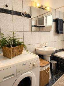 a bathroom with a washing machine and a sink at Acheron House in Gliki +60 photos