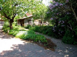 a path leading to a house with trees and flowers at Ferienhaus Apfelhof in Tressow