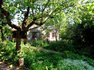 a tree in the middle of a garden at Ferienhaus Apfelhof in Tressow +15 photos