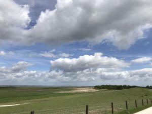a field with a fence and a cloudy sky at Ferienwohnung Landliebe in Süderschweiburg