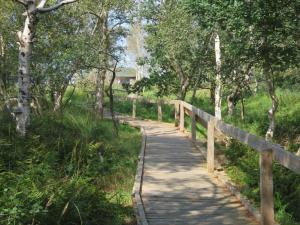 a path through a forest with trees and a fence at Ferienwohnung Landliebe in Süderschweiburg +12 photos