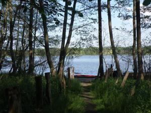 a view of a lake through the trees at Ferienwohnung Stolz G in Ulrichshusen