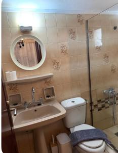 ein Badezimmer mit Toilette, Waschbecken und Spiegel in der Unterkunft Καμέλια 3 in Fiskardo