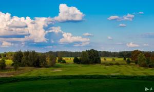 a view of a golf course with a green at TINY HOUSE FLEESENSEE mit eigenem Garten und nur wenige Meter vom Seeufer in Unter Göhren