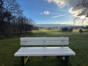 a white bench sitting in a field of grass at TINY HOUSE FLEESENSEE mit eigenem Garten und nur wenige Meter vom Seeufer in Unter Göhren